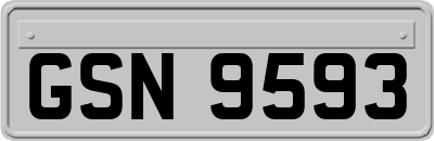 GSN9593