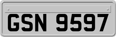 GSN9597