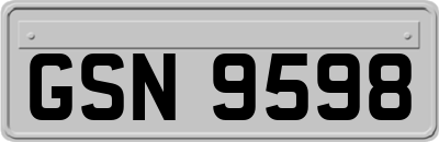 GSN9598