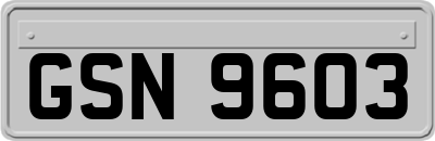 GSN9603