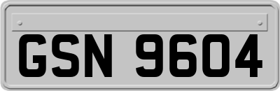 GSN9604