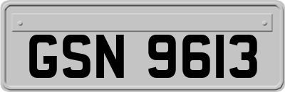 GSN9613
