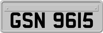 GSN9615