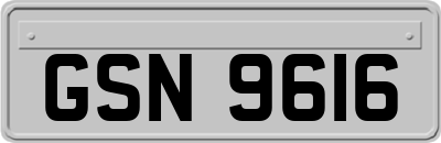 GSN9616