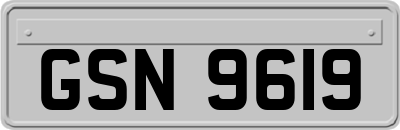 GSN9619