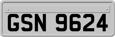 GSN9624