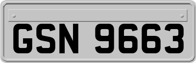 GSN9663