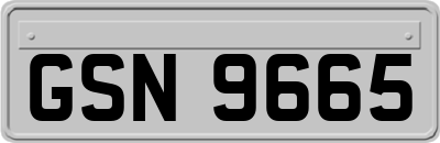 GSN9665