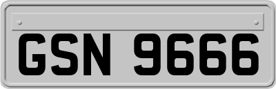 GSN9666