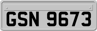 GSN9673