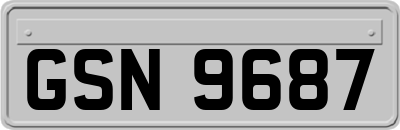 GSN9687
