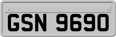 GSN9690