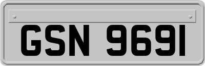 GSN9691