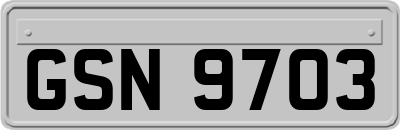GSN9703