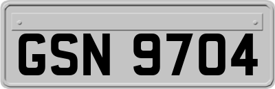 GSN9704