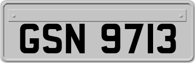 GSN9713