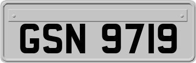 GSN9719