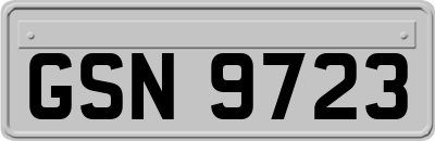 GSN9723