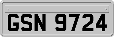 GSN9724