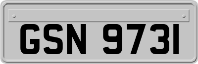 GSN9731
