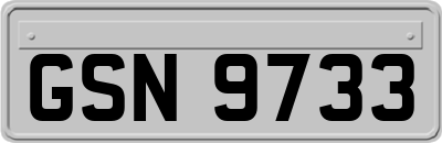 GSN9733