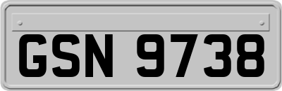 GSN9738