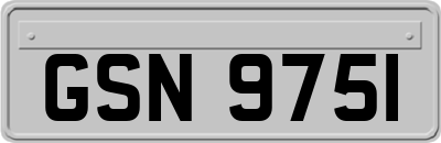 GSN9751