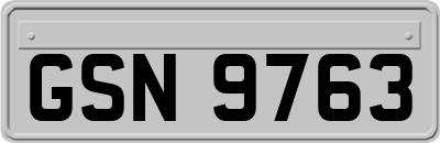 GSN9763
