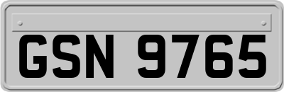 GSN9765