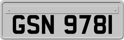 GSN9781