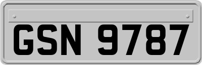 GSN9787