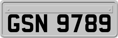 GSN9789