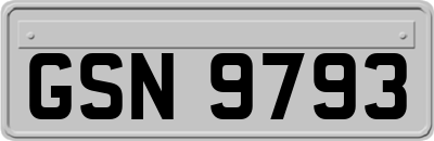 GSN9793