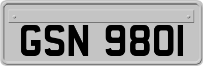 GSN9801