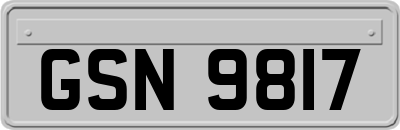 GSN9817