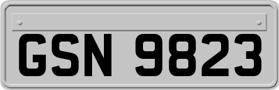 GSN9823