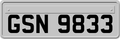 GSN9833