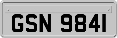 GSN9841