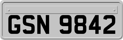 GSN9842