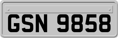 GSN9858