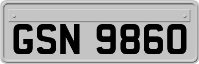 GSN9860