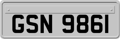 GSN9861