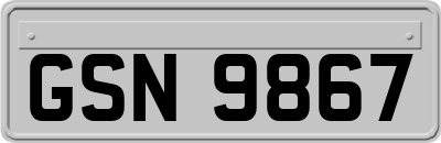 GSN9867