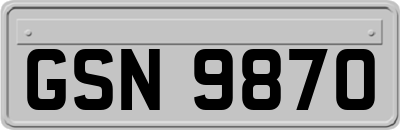 GSN9870