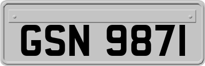 GSN9871