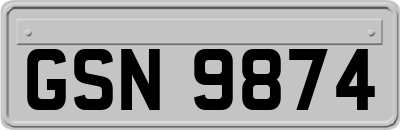 GSN9874