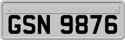 GSN9876