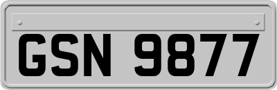 GSN9877