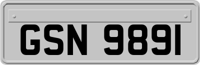 GSN9891