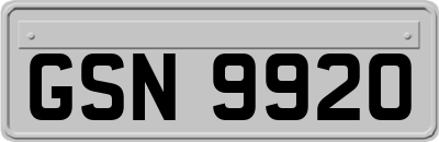 GSN9920